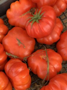 Markedsguide til italienske markeder
