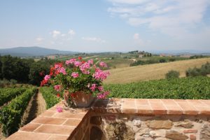 Smuk udsigt til marker i Italien, flot lyserød blomst og blå himmel.