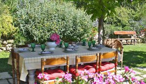 Rejsekogebogen fra Local Living. På billedet ses et opdækket italiensk bord i en have. Der er solskin og sommerstemning.