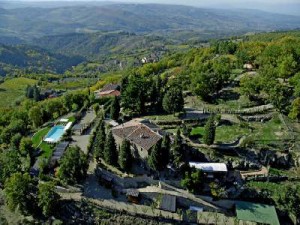 Local Living Toscana