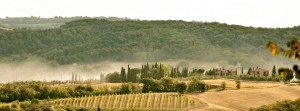 Er det din udsigt til sommer i Toscana? Billedet viser Tascana i Italien, der er flot landskab og rolige nuancer. Tag kontakt og få et tilbud fra Local Living.