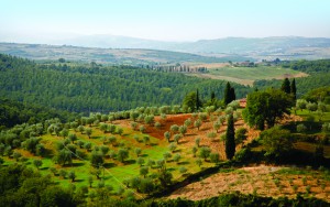 forretningsbetingelser. Billede af smuk italiensk natur.