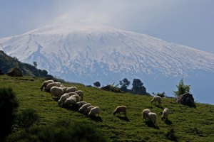 Bjerget Etna med sne på toppen. Etna i Italien. Feriedestination Italien. Sommerferie i Sicilien. Ferieboliger nær Etna. Kultur i Sicilien.