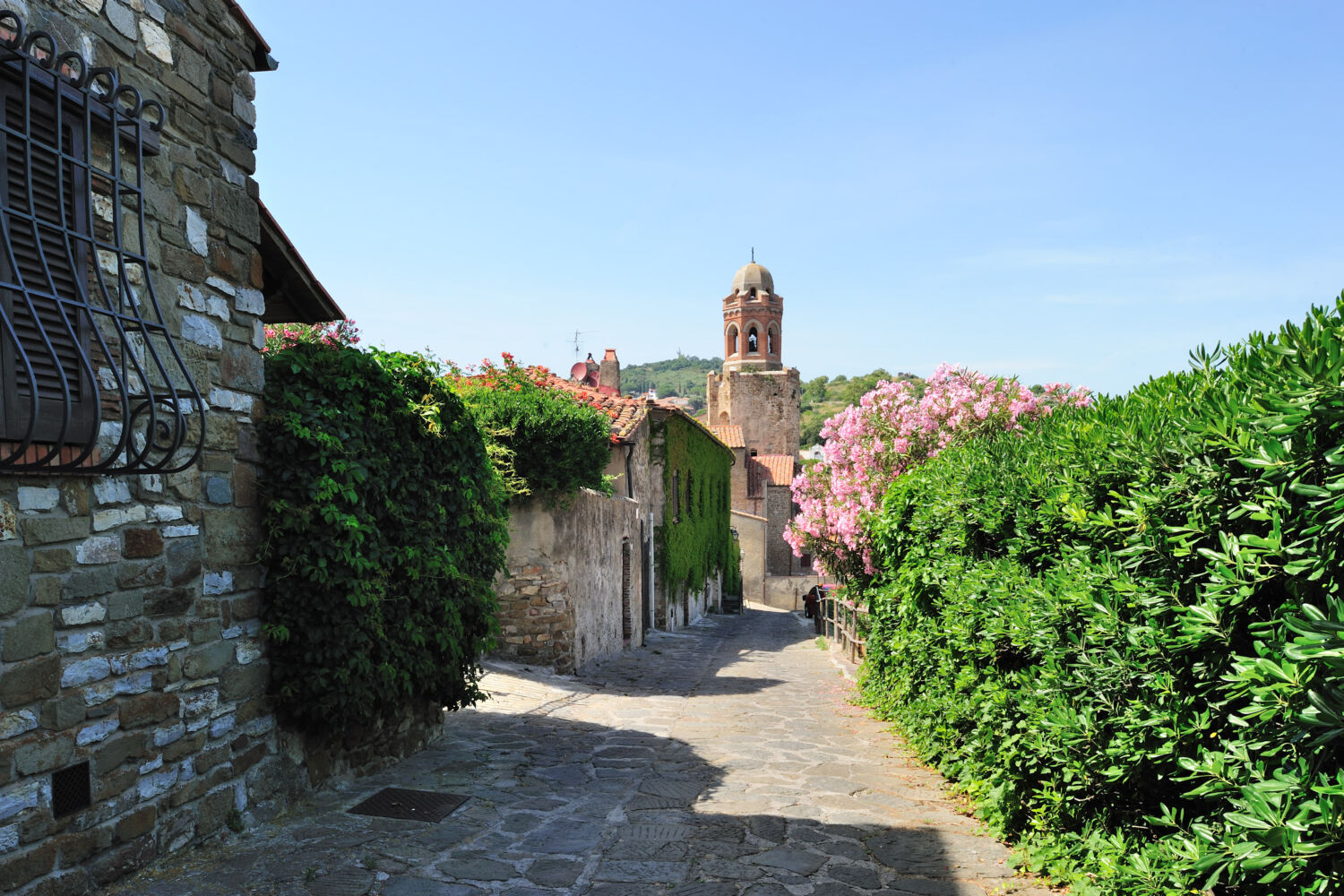 Billede af Maremma. Italiensk by med flot stentorv og grønne planter.