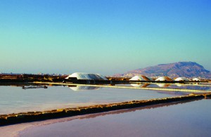 Billede af saltsø i Trapani. Smukt vand i rødlige nuancer og salt i baggrunden.