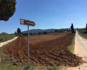 Pilgrimsruten ses her med et skilt mod Francigena.