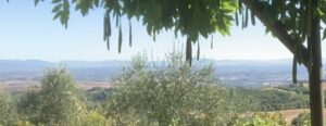 Agriturismo i Toscana