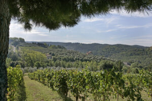 Kør-selv ferie Italien