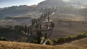 Siena. Feriedestination. Sommerferie i Italien. Feriebolig toscana i landsby. Bedste landsbyer i toscana. Sightseeing i Siena.
