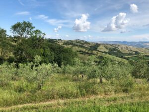 Natur smukt. Blå himmel. Autentisk natur. Vandring i Italien. Bondegårdsferie. Agriturismo. Umbrien