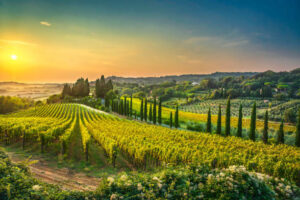 Toscana er det perfekte sted til kør-selv-ferien til Italien. Sol, natur og kultur.