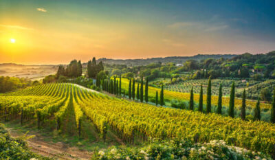 Toscana er det perfekte sted til kør-selv-ferien til Italien. Sol, natur og kultur.