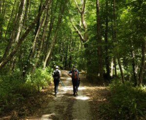 Foreste Casentines. Toscana. Vandreruter gennem skovene og bjergområdet.