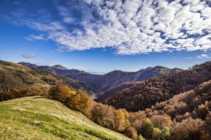 Naturpark. Italien.