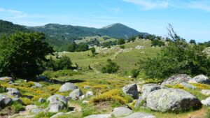 Madonie. Sicilien. Park. Bjerge. Nationalparker i Italien
